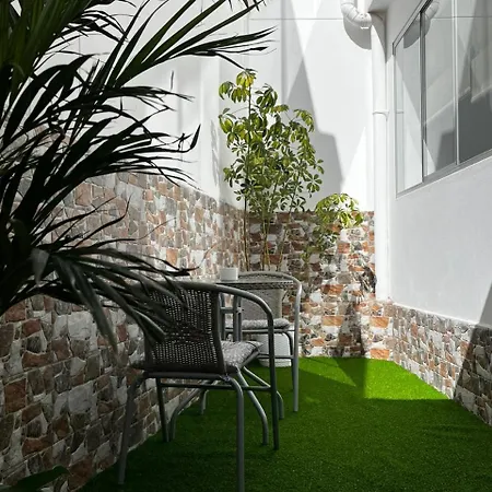 Acogedor Full De Plantas Apartment